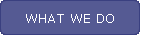 what_we_do.htm